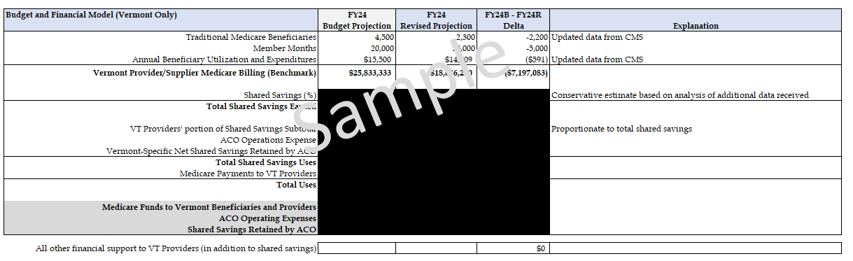 medicare-only budget workbook redacted sample